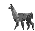 Llama Walking Going Somewhere Sticker
