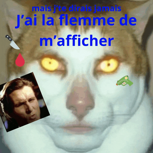 Llf Meme
