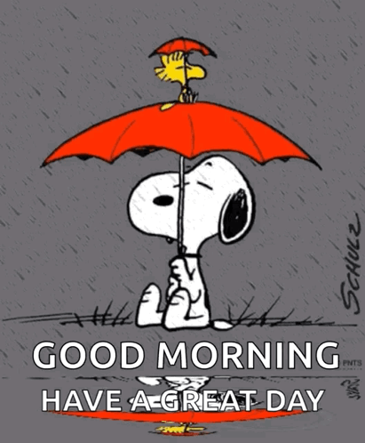 Lluvia Rain GIF