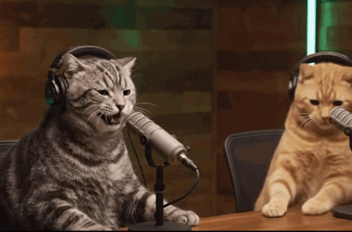Lmao Lmao Meme GIF. This 498 x 328 animated GIF is part of our mort de rire collection. Related themes include bruh, cat, cat meme. Created by…