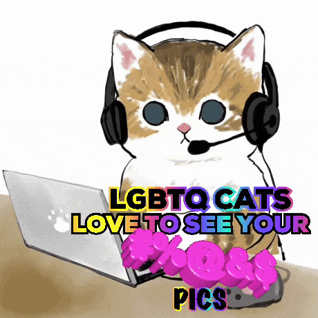 Lmao Lol GIF