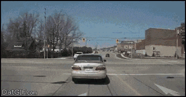 Lmao Memes GIF