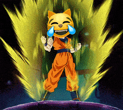 Lmeow Lmeow Coin GIF