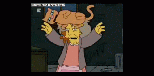 Loca Gatos GIF