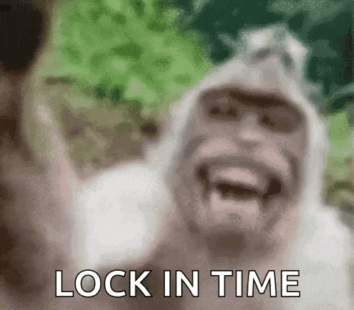 Locked In Monkey GIF