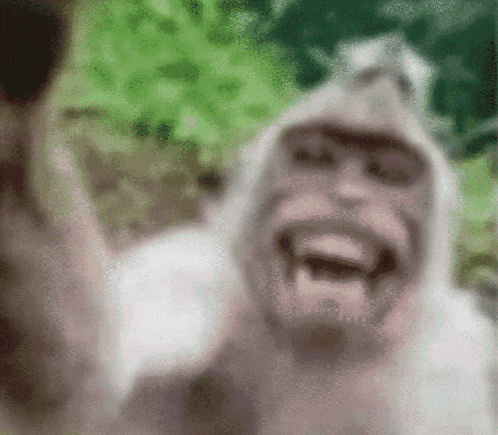 Locked In Monkey GIF