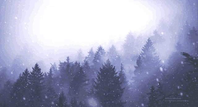 Lofi Christmas Meme