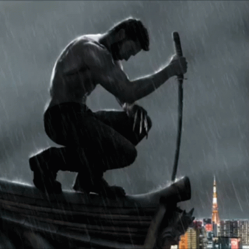 Logan Wolverine GIF. This 498 x 498 animated GIF is part of our red dawn wolverines collection. Created by Blue2097. View the original animation, share it…