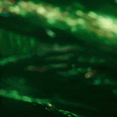 Loki Loki Who Remains GIF