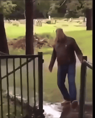 Lol Fall GIF