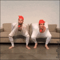 Lol GIF