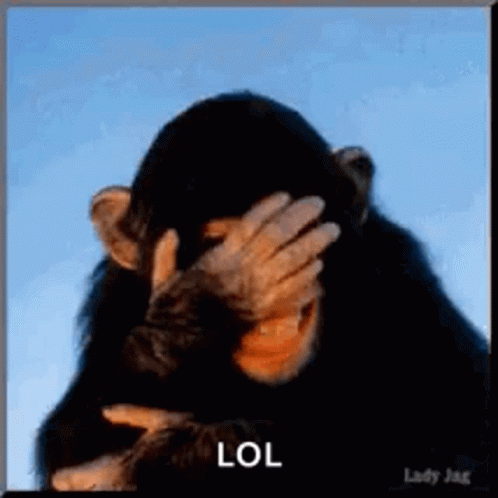 Lol Laughing GIF. This 498 x 498 animated GIF is part of our mort de rire collection. Related themes include giggle, haha, laughing. Created by…