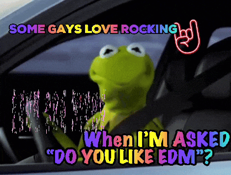 Lol Omg Lol GIF