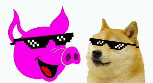 Lolcoin Dogecoin GIF