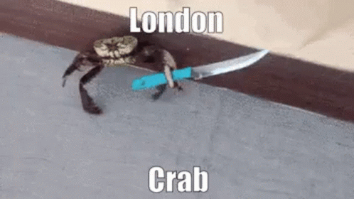 London Crab GIF