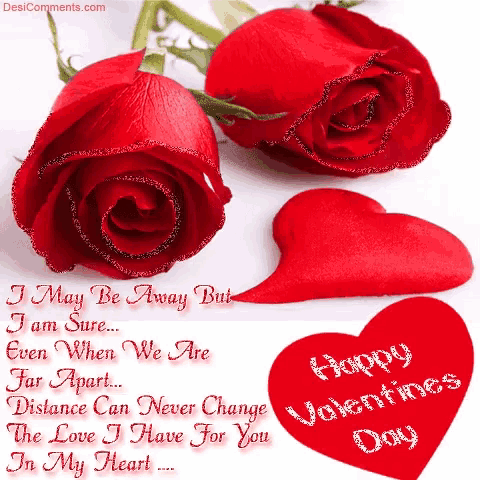 Long Distance Happy Valentines Day GIF