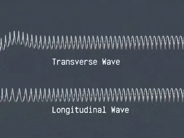 Longitudinal Wave Transverse Waves GIF