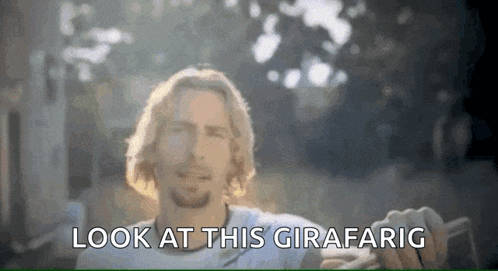 Look At This Photograph GIF