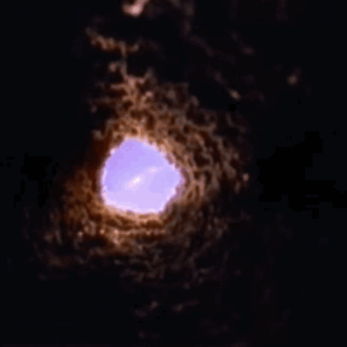 Look Down A Hole Rabbit Hole GIF