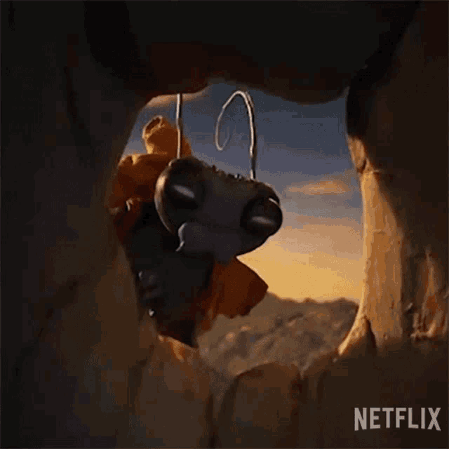 Look Inside Sebastian J Cricket GIF