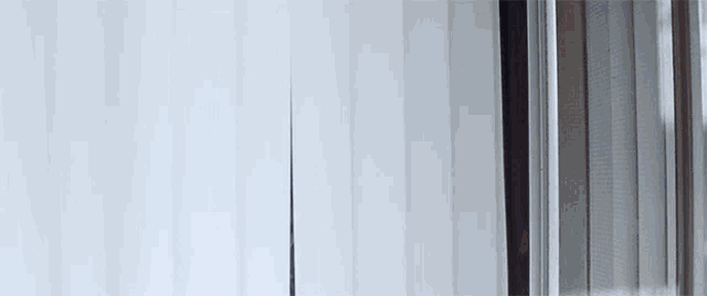 Looking Out The Window Open Blinds GIF