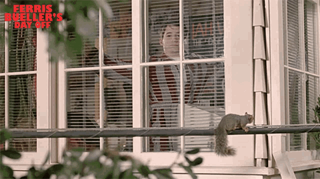 Looking Outside Ferris Bueller GIF