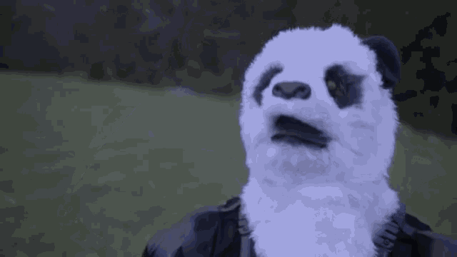 Looking Through Binoculars Looking GIF
