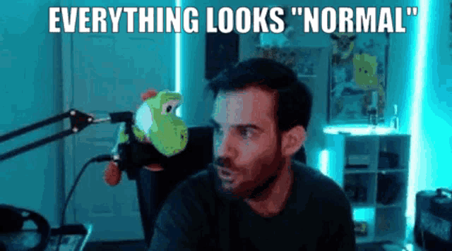 Looks Normal Shwubbrl GIF