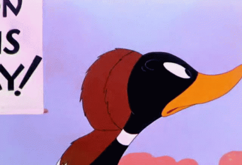 Looney Tunes Daffy Duck GIF