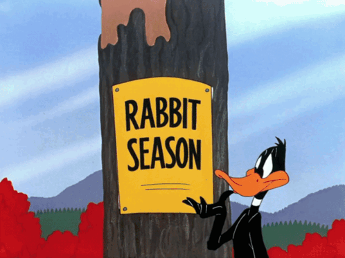 Looney Tunes Daffy Duck GIF
