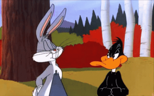 Looney Tunes Daffy Duck GIF