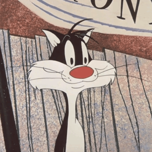 Looney Tunes Looney Toons GIF