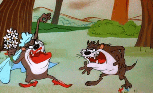 Loony Tunes Taz GIF