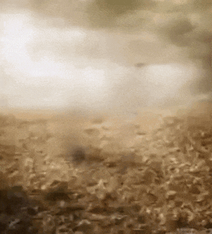 Loop Infinite GIF