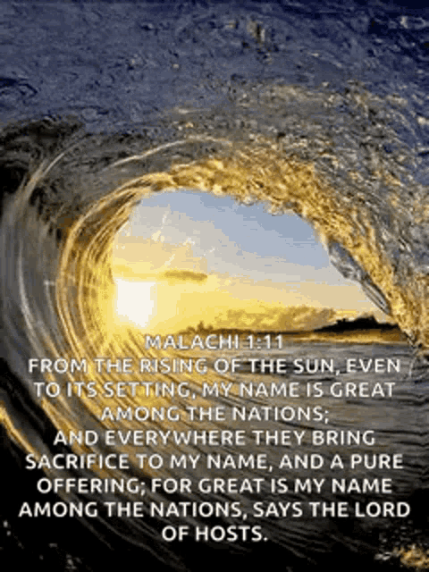 Loop Ocean GIF