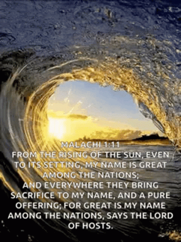 Loop Ocean GIF
