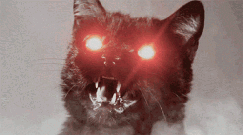 Lorandez1 GIF. This 498 x 278 animated GIF is part of our stink eye collection. Created by Lorandez. View the original animation, share it, or browse…