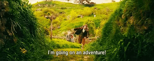 Lord Of The Rings Adventure GIF