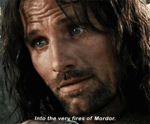 Lord Of The Rings Aragorn GIF