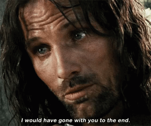 Lord Of The Rings Aragorn GIF
