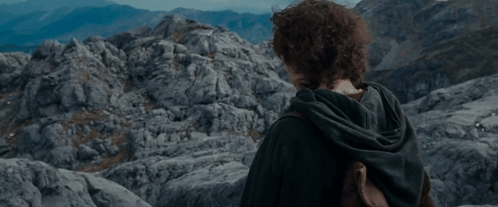 Lord Of The Rings Frodo GIF