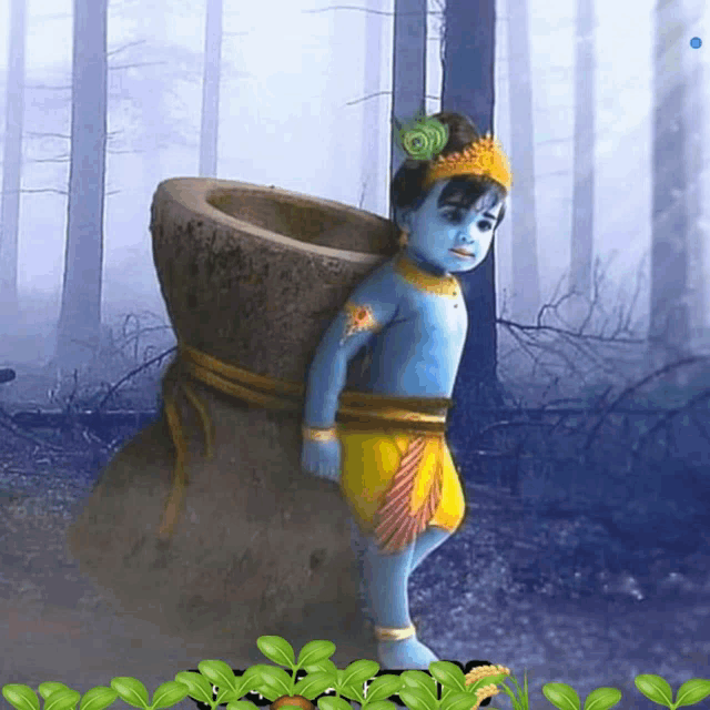 Lord Shri Shree Sri Krishna GIF