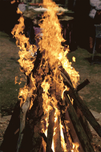 Lori Celebrations GIF. This 331 x 498 animated GIF is part of our bhogi wishes collection. Related themes include bonfire, fire. Created by…