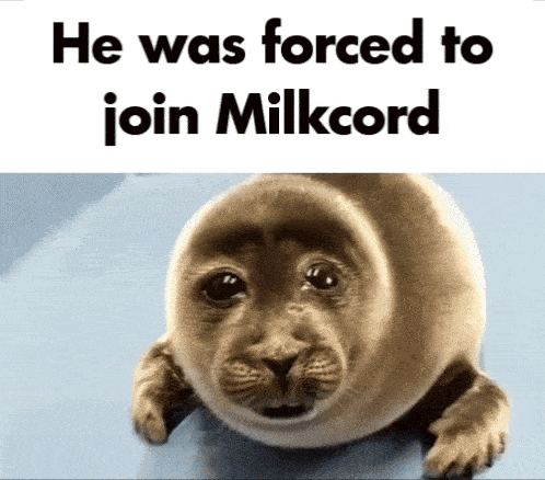 Loser-cord Milkcord GIF