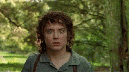 Lotr Lord Of The Rings GIF
