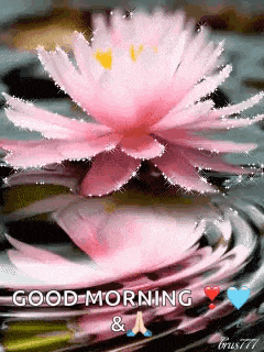 Lotus Glitter GIF