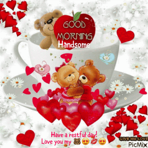 Love Bears Cute Bears GIF