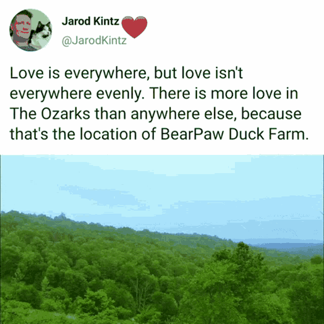 Love Beautiful GIF