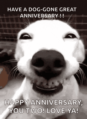 Love GIF