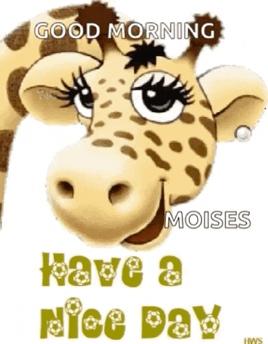 Love Have A Nice Day GIF